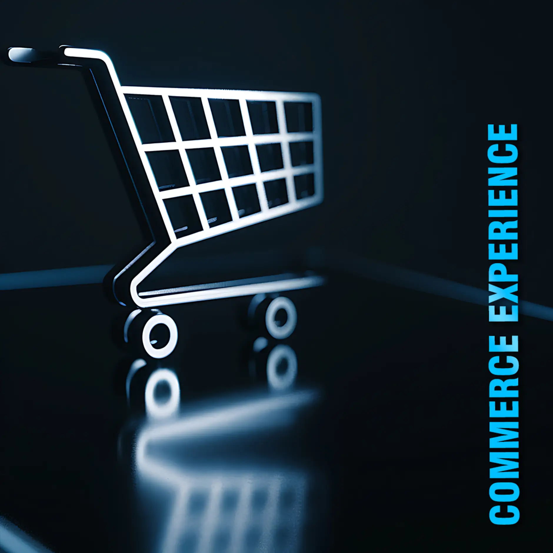 Commerce Experience